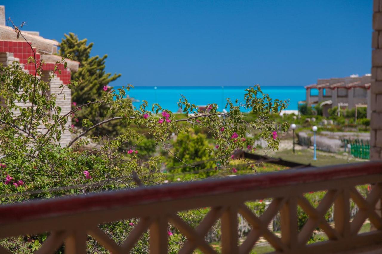 العلمين Villas Petro Beach المظهر الخارجي الصورة